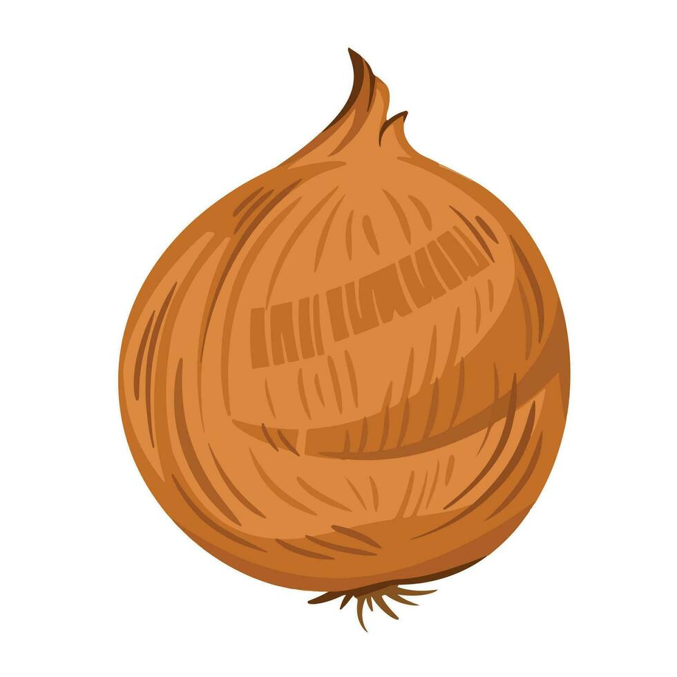 One raw round whole onion with yellowish brown colored skin. Cooking ingredient vector illustration isolated on white horizontal background. Simple flat cartoon art styled drawing.