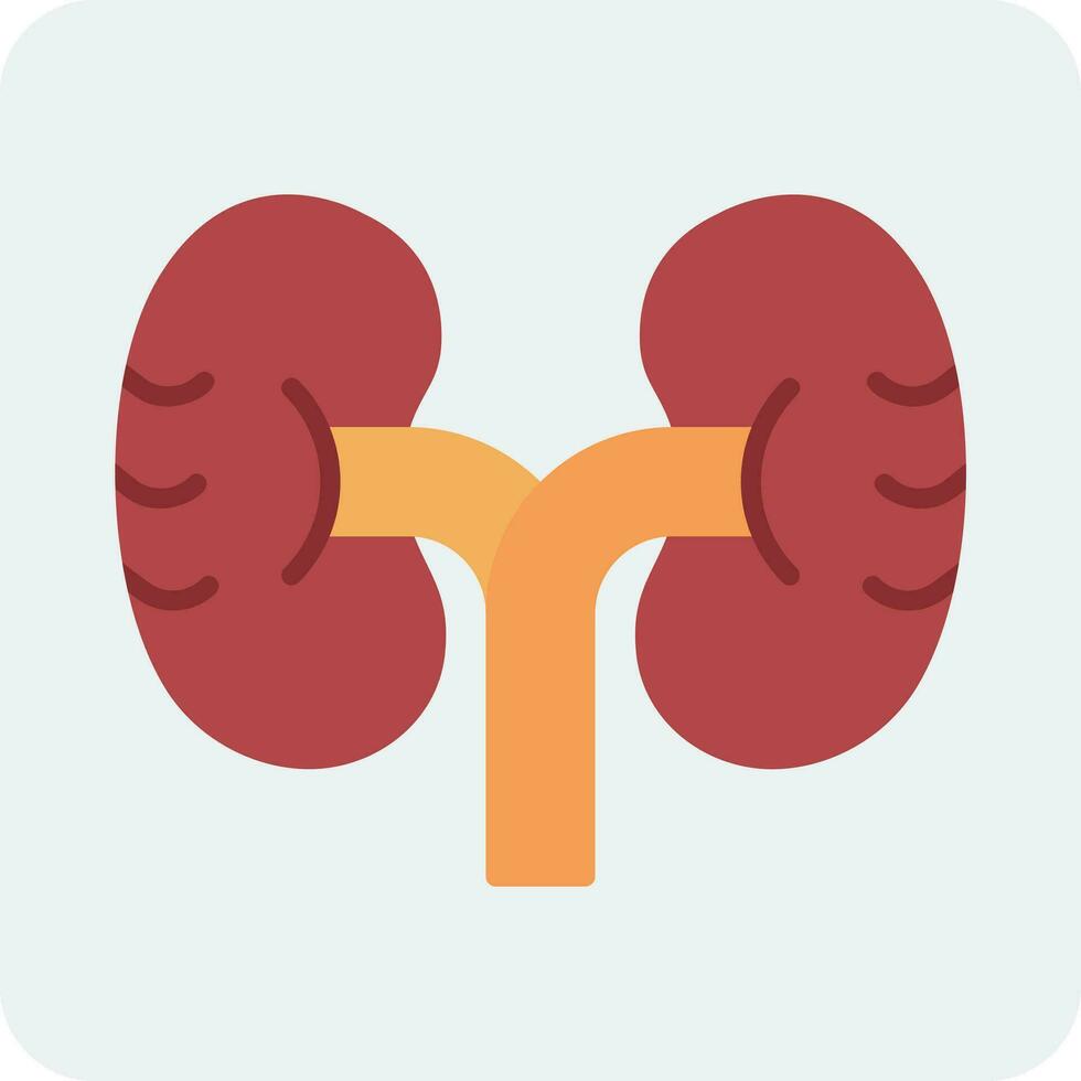 Kidney Vector Icon