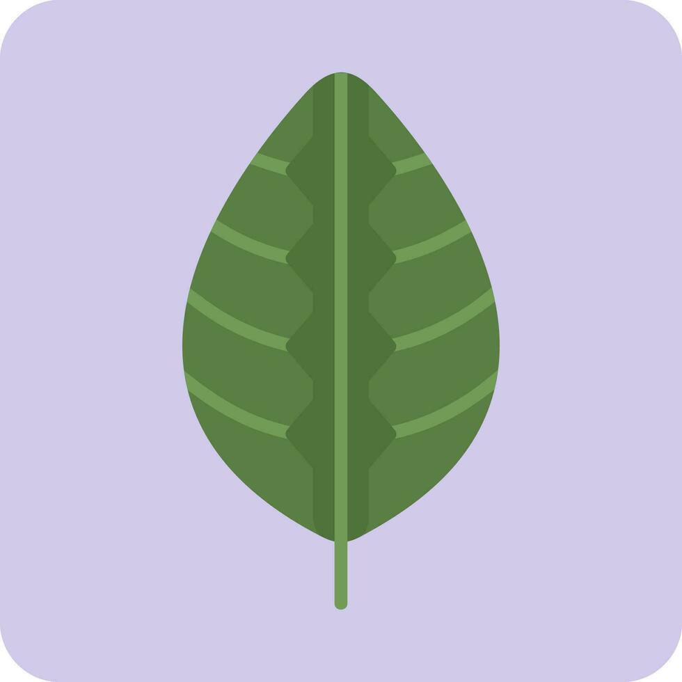 Maranta Vector Icon