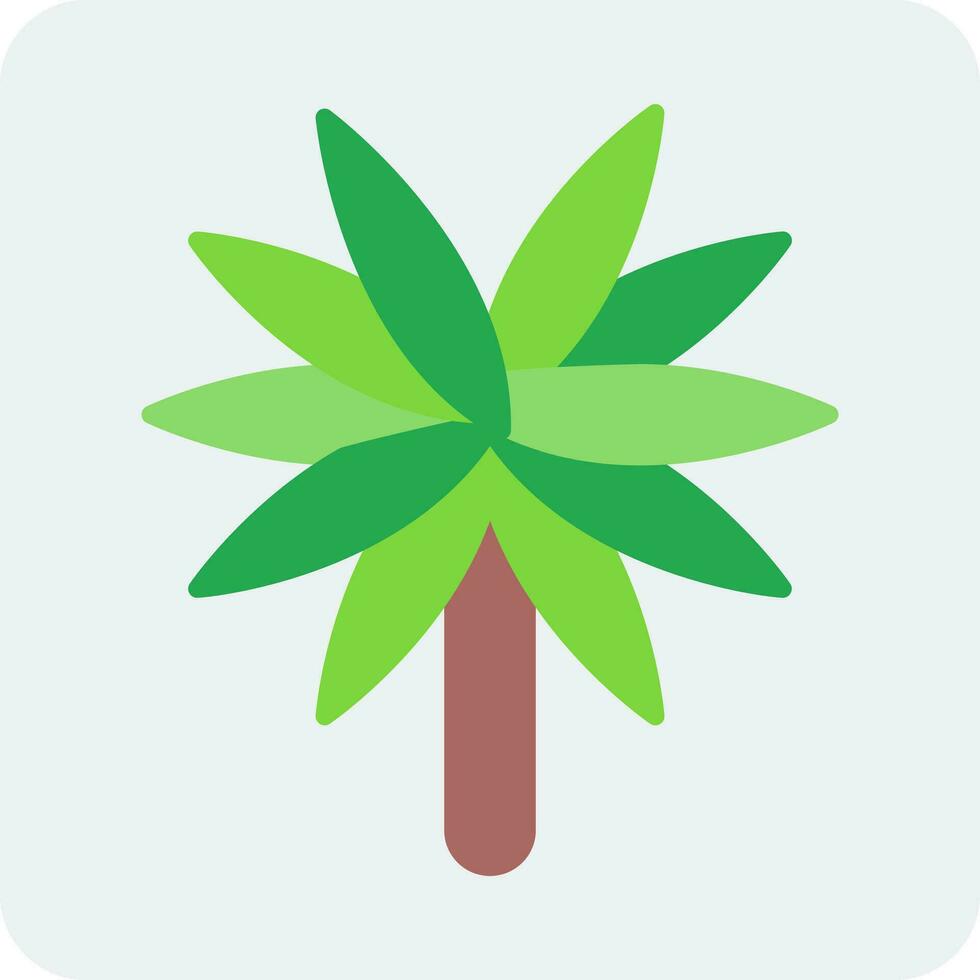Spider Plant Vector Icon