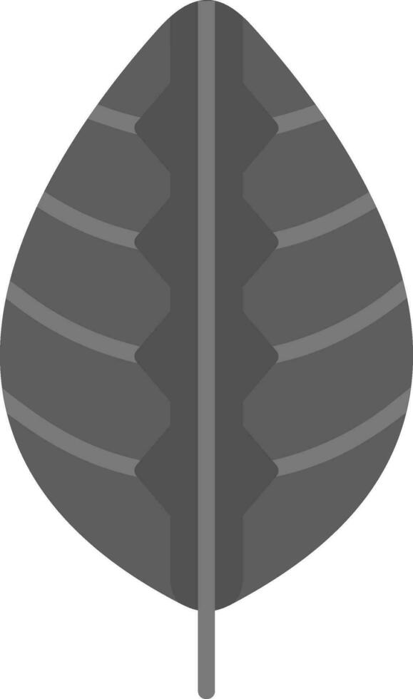 Maranta Vector Icon