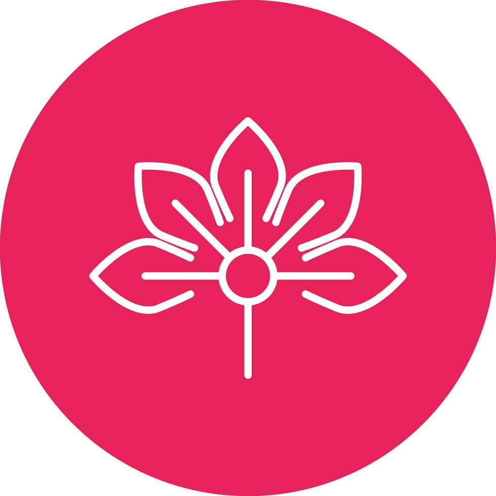 Japanese Aralia Vector Icon