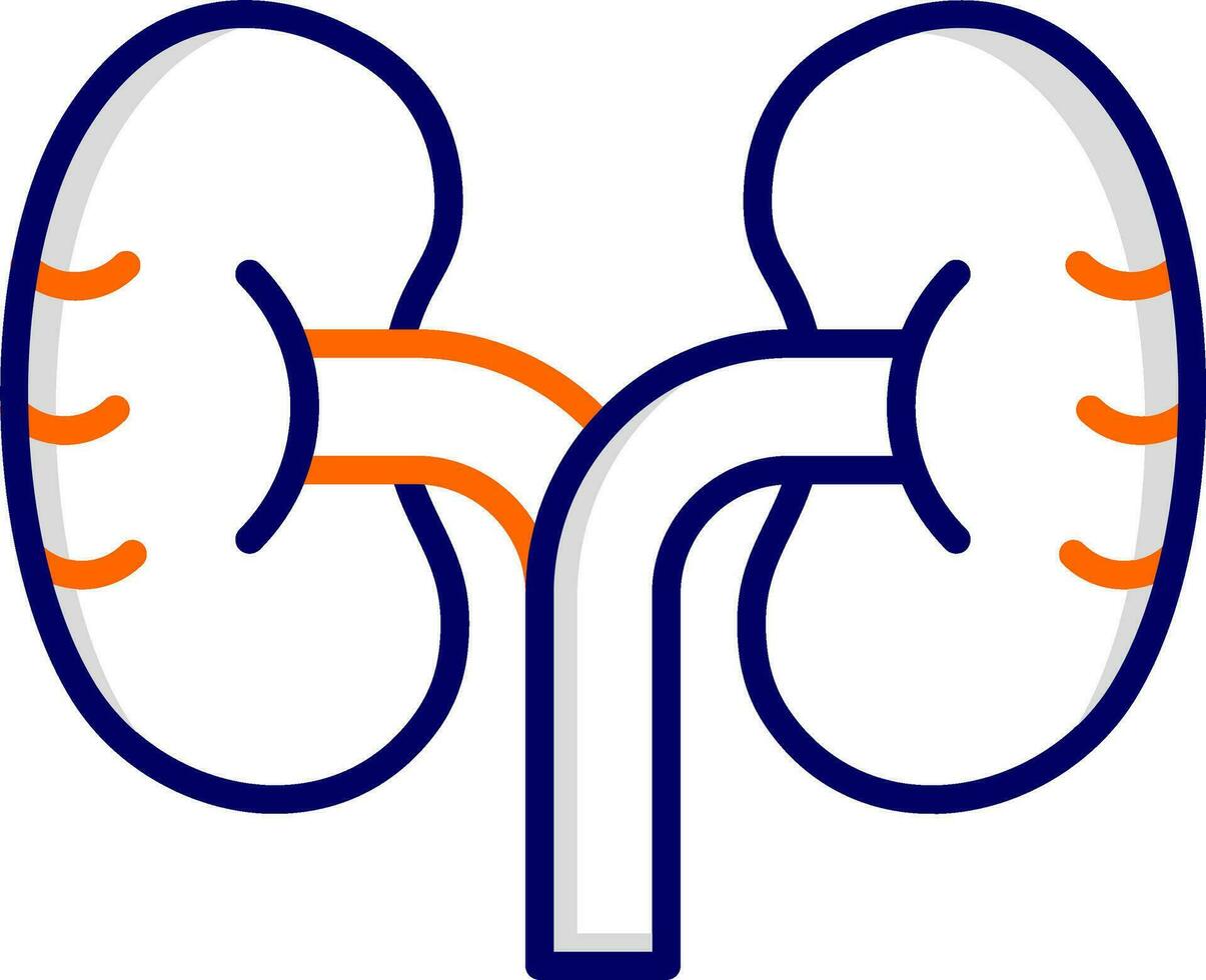 Kidney Vector Icon