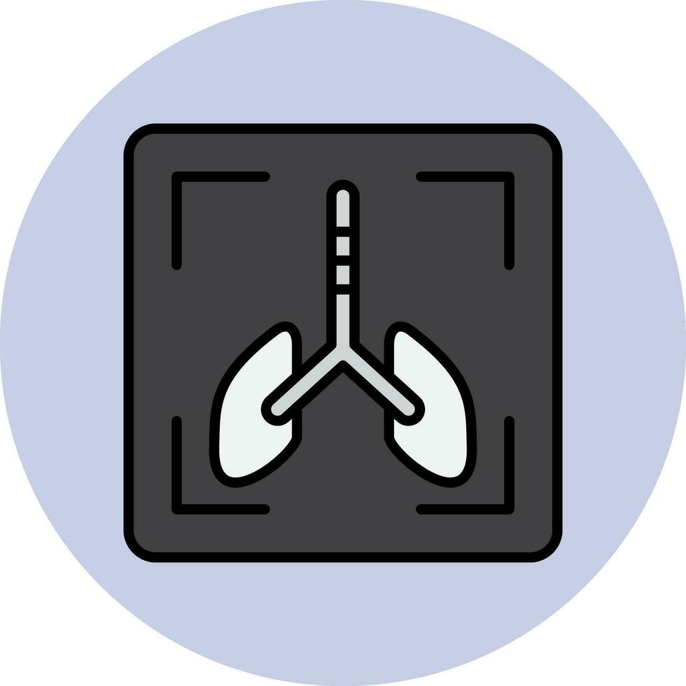 X Ray Vector Icon