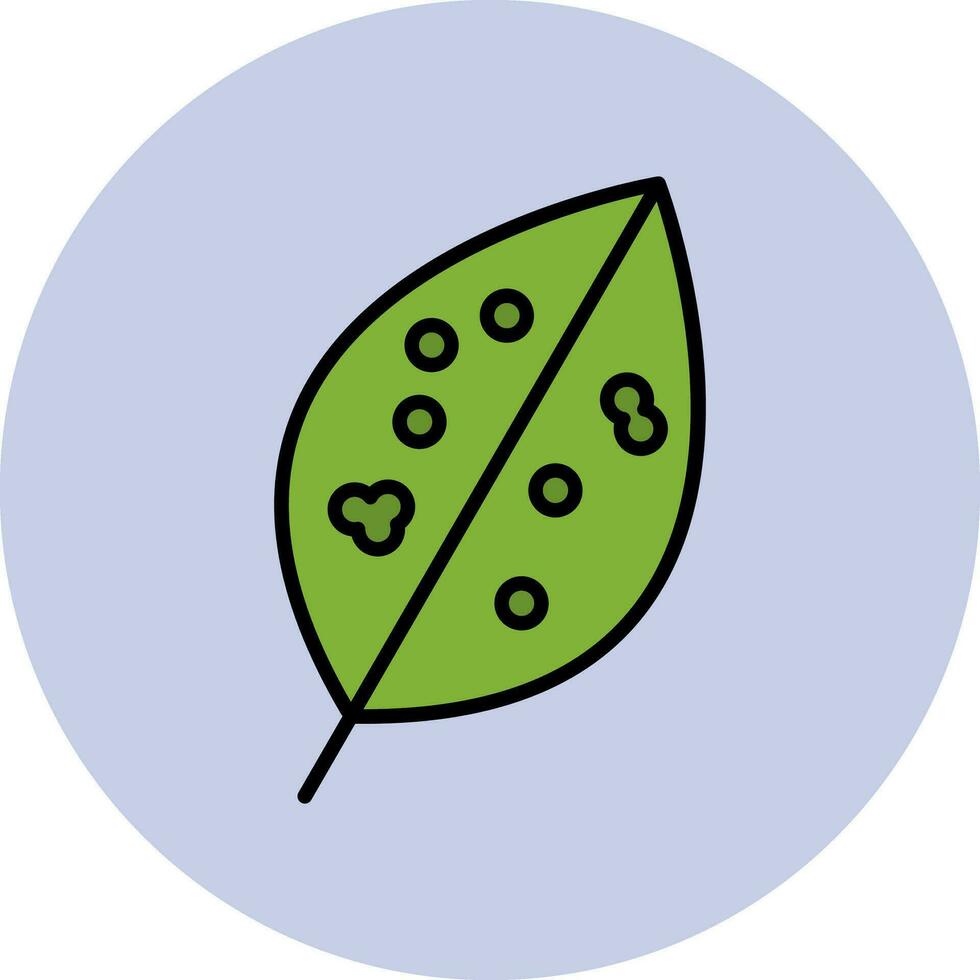 Chinese Evergreen Vector Icon