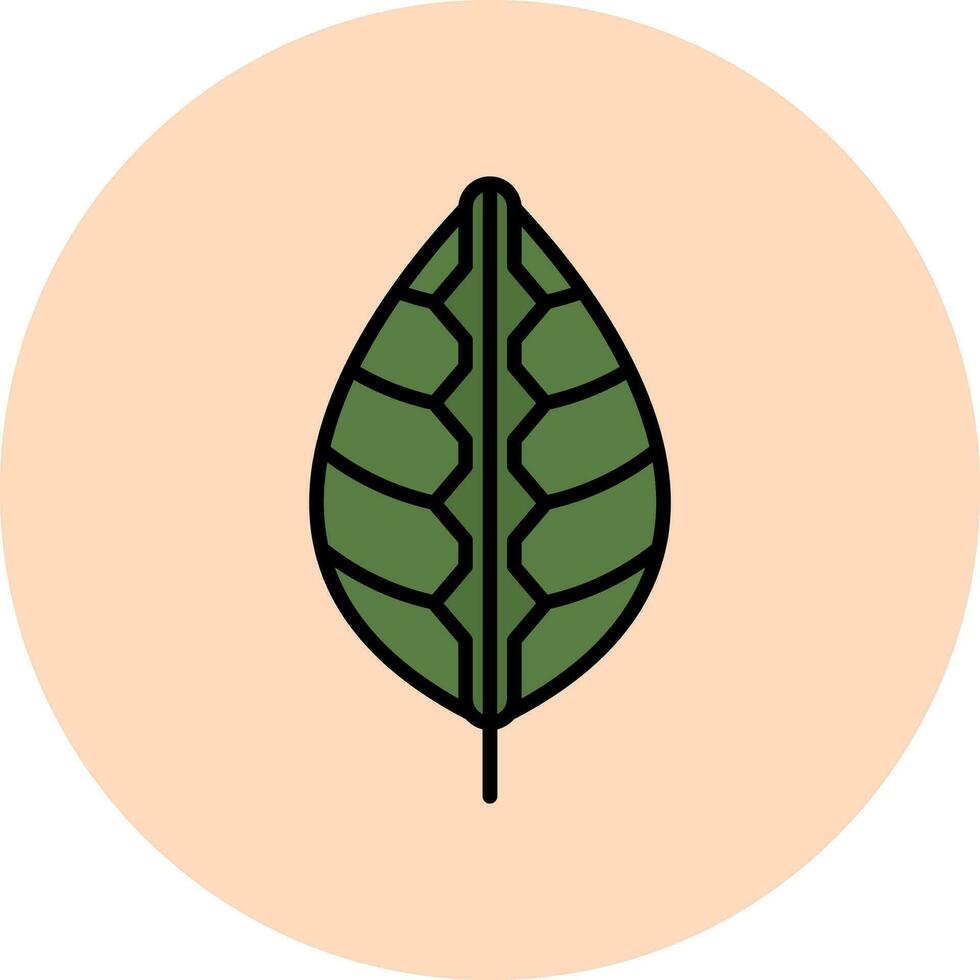 Maranta Vector Icon