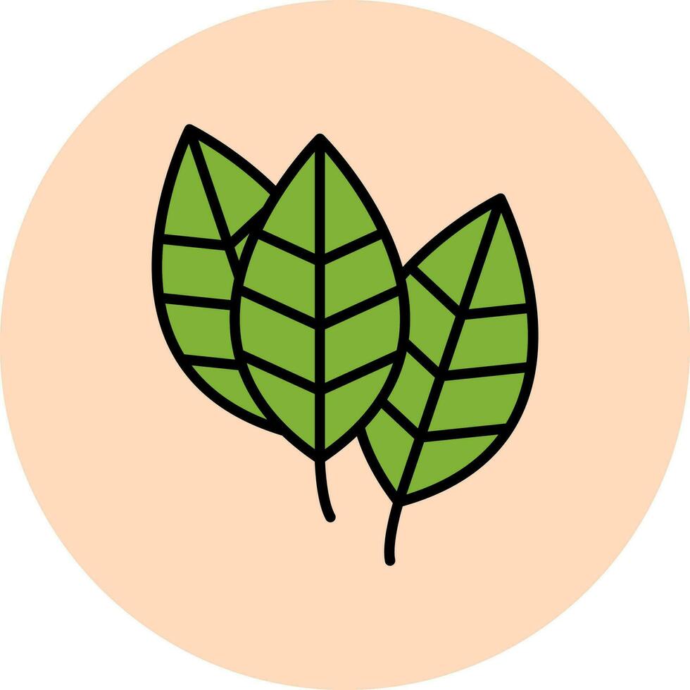 Aspidistra Vector Icon