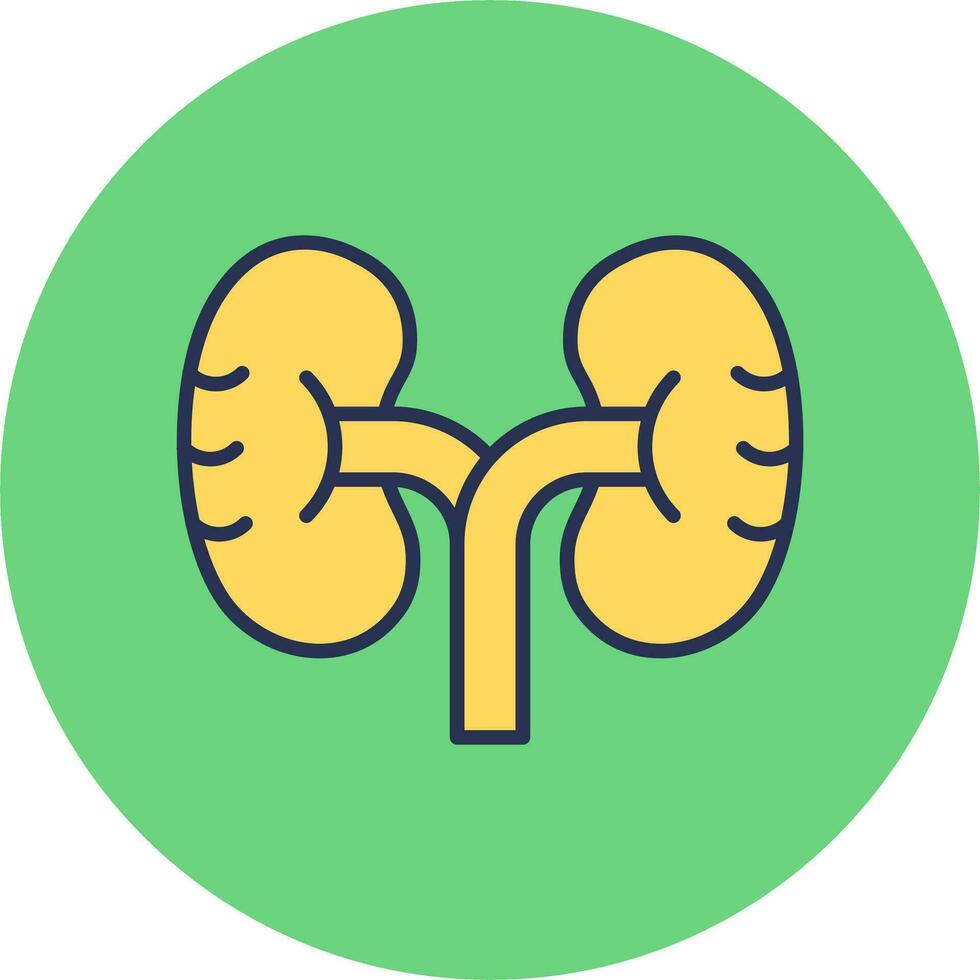 Kidney Vector Icon