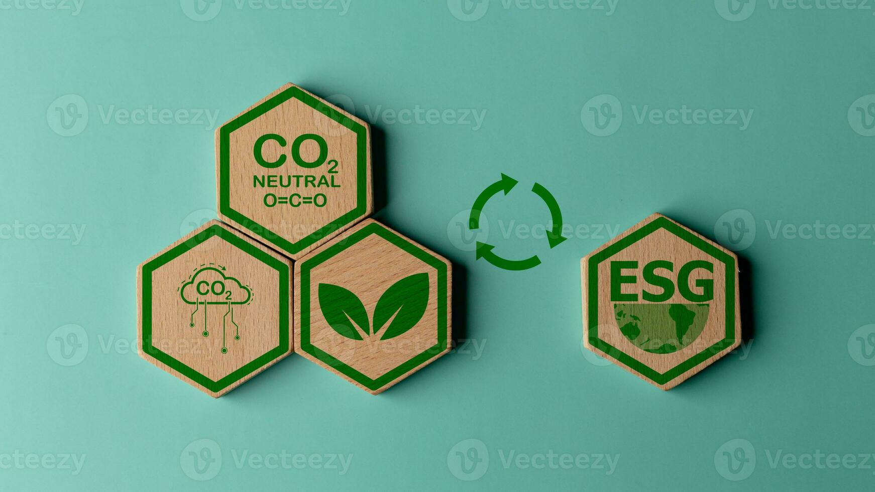 ESG concept of environmental. ESG or environmental social governance. The company developed a nature conservation strategy, green energy, clean energy photo