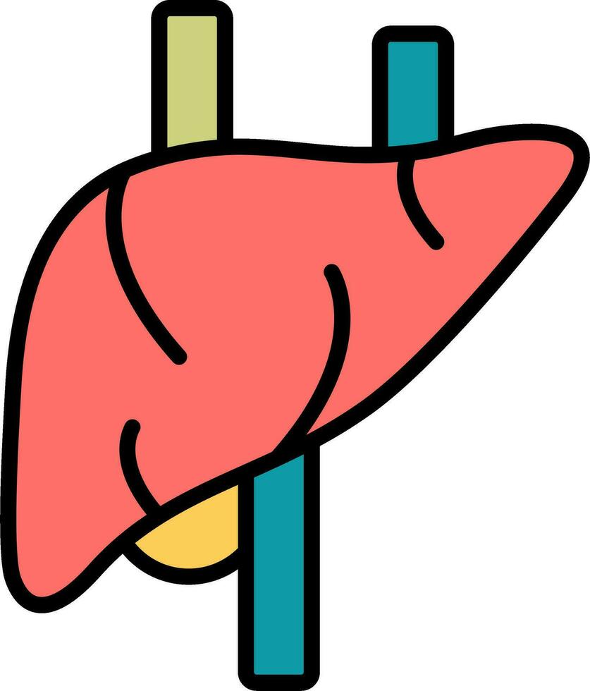 Liver Vector Icon