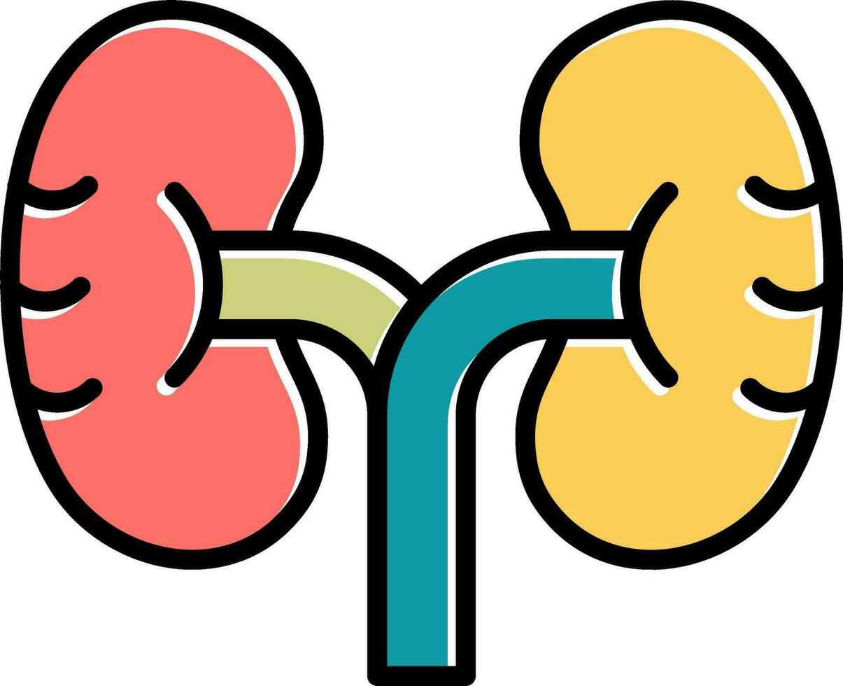 Kidney Vector Icon