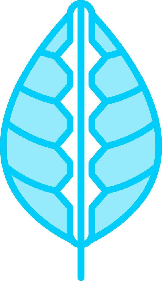 Maranta Vector Icon