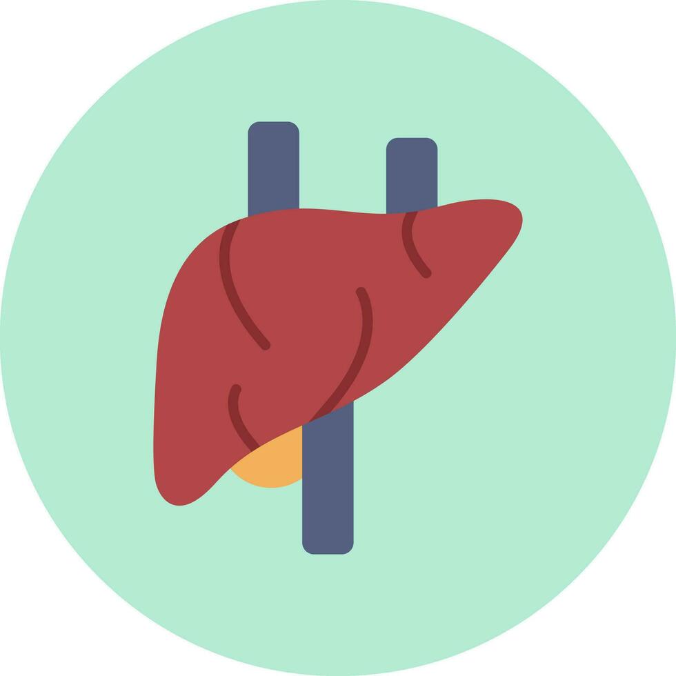 Liver Vector Icon