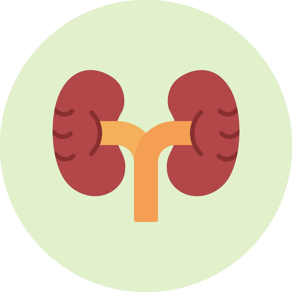 Kidney Vector Icon