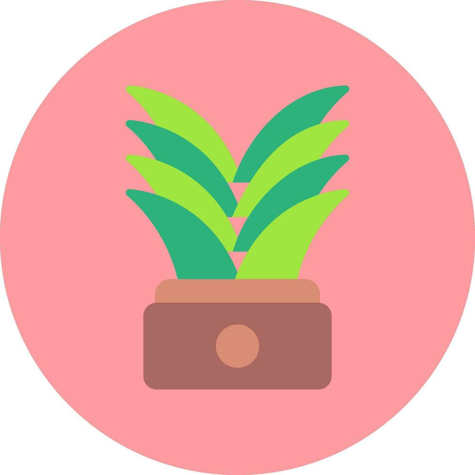 Yucca Vector Icon