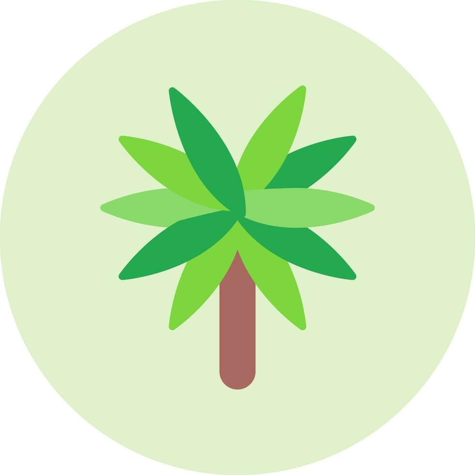 Spider Plant Vector Icon