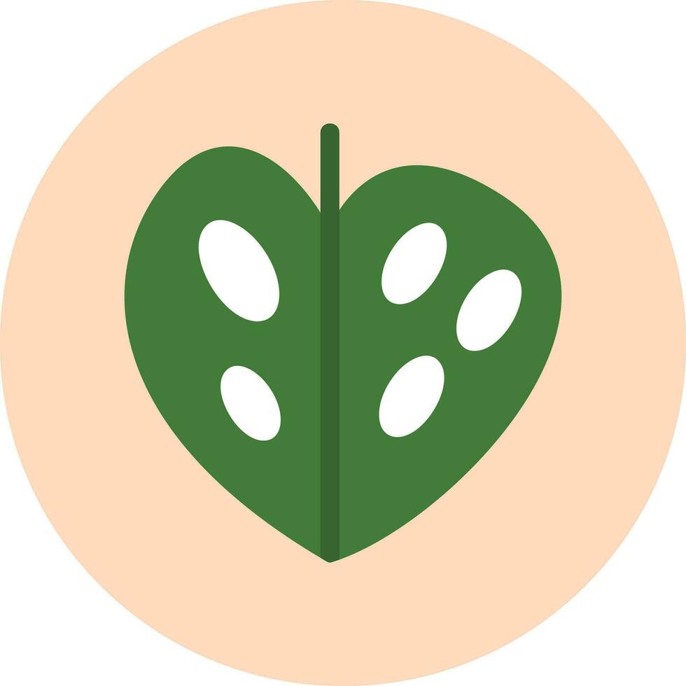 Monstera Vector Icon