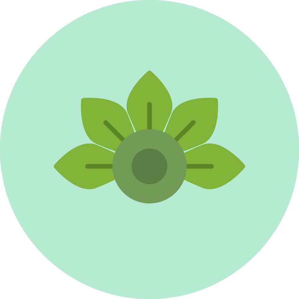 Japanese Aralia Vector Icon