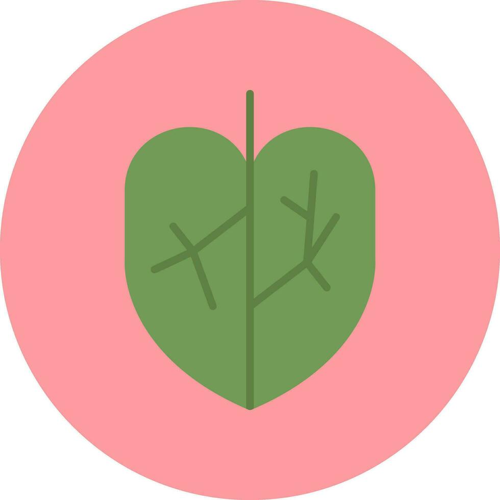 Colocasia Vector Icon