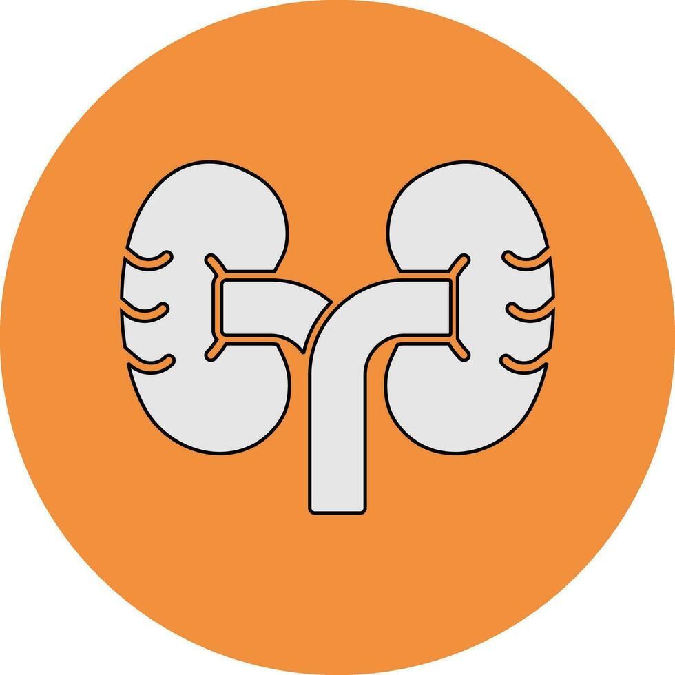 Kidney Vector Icon