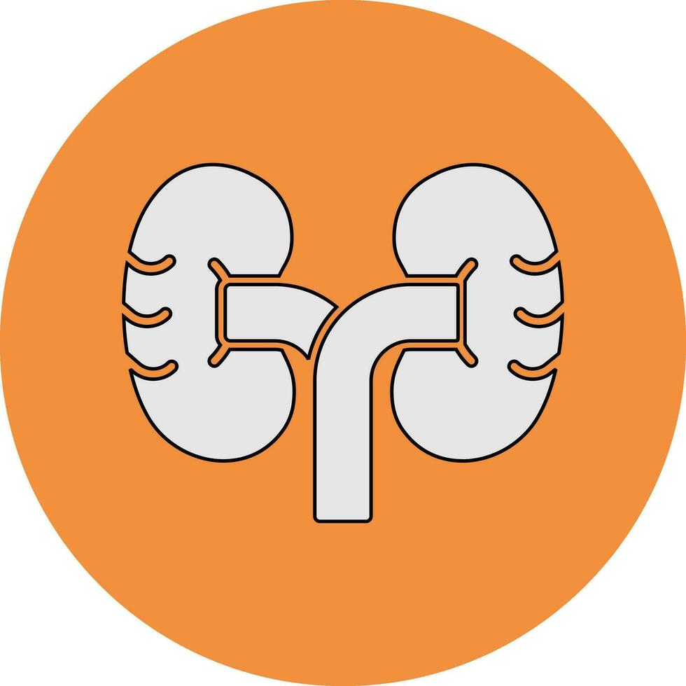 Kidney Vector Icon