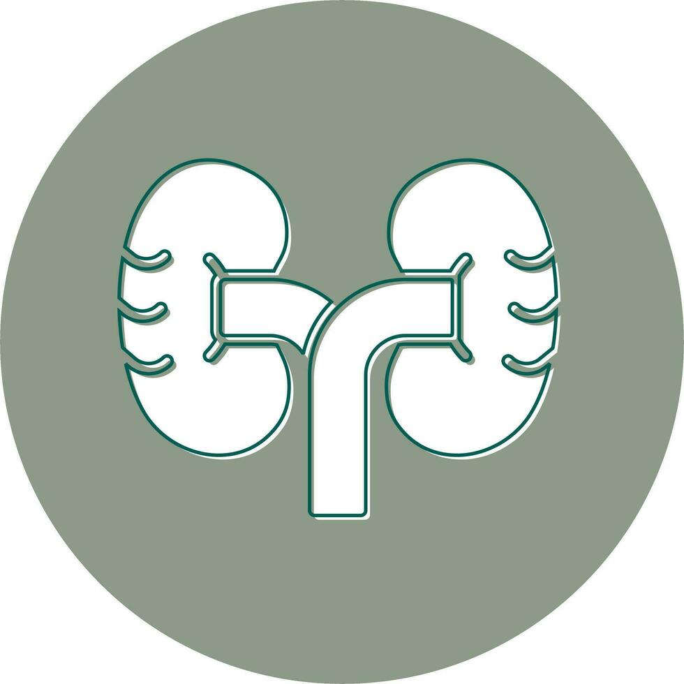 Kidney Vector Icon