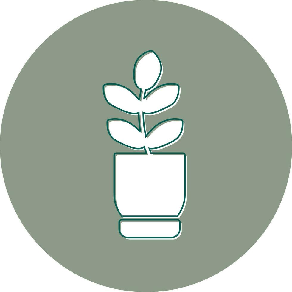 Ficus Elastica Vector Icon