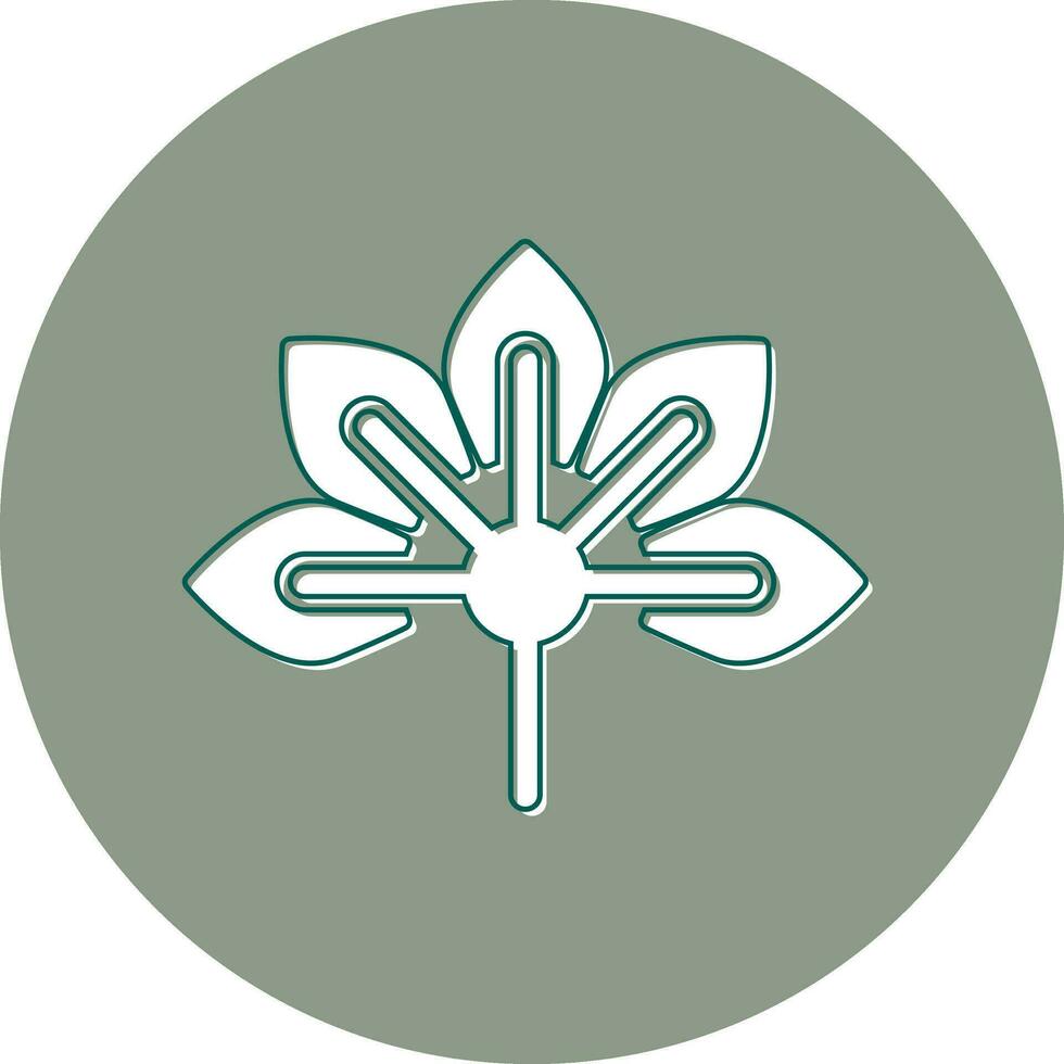 Japanese Aralia Vector Icon