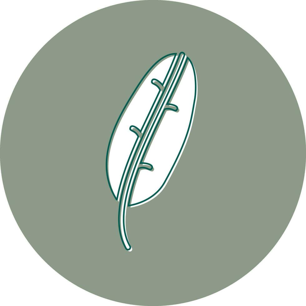 Banana Leaf Vector Icon
