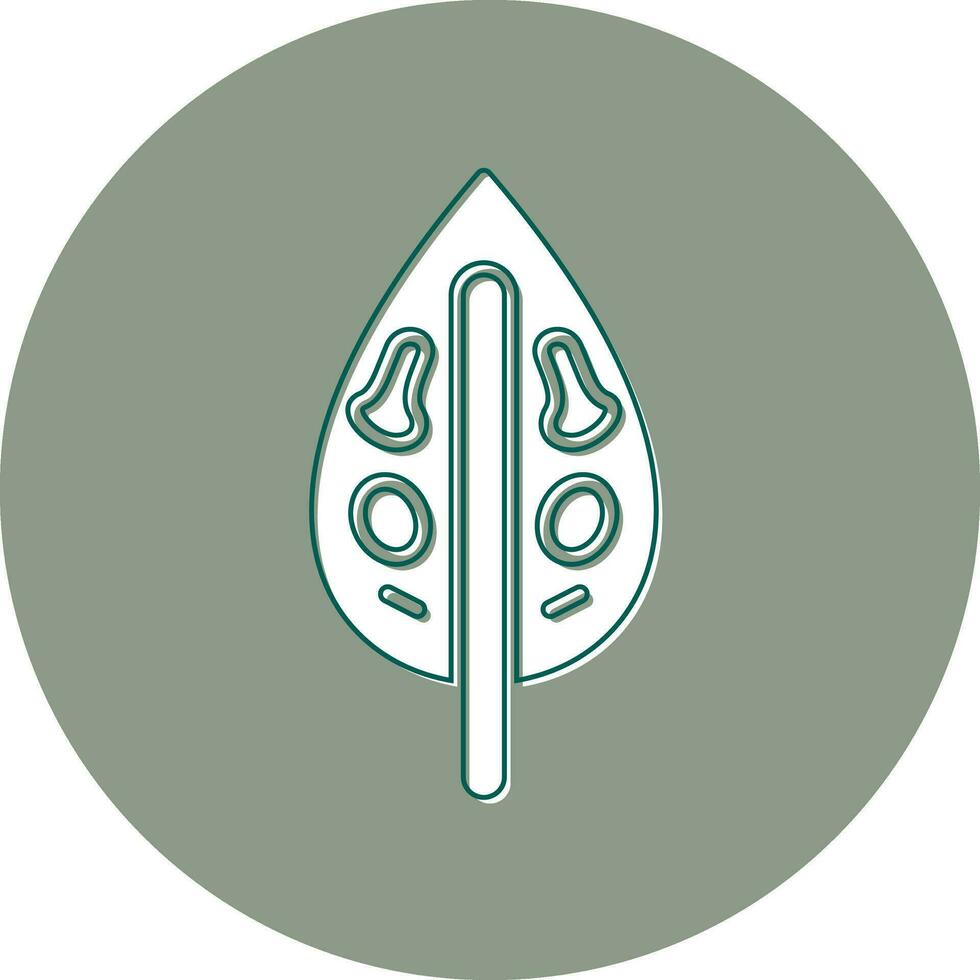 Dieffenbachia Vector Icon