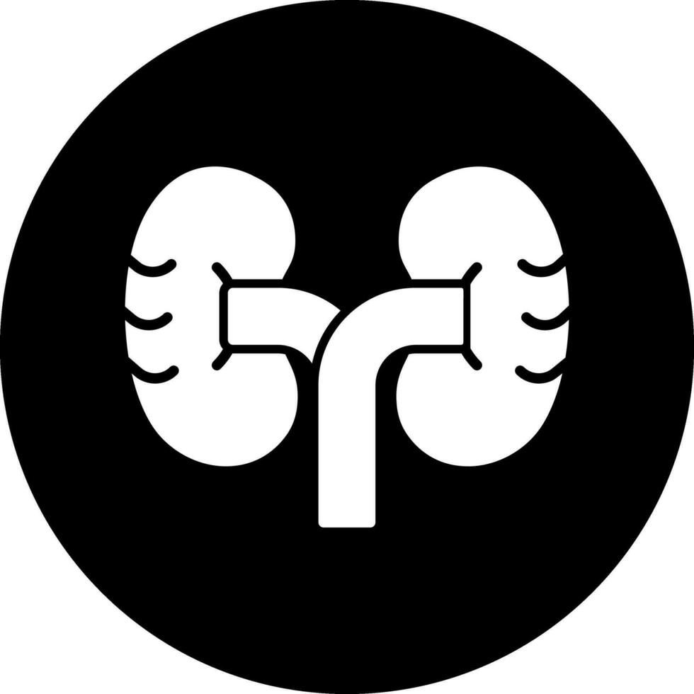 Kidney Vector Icon