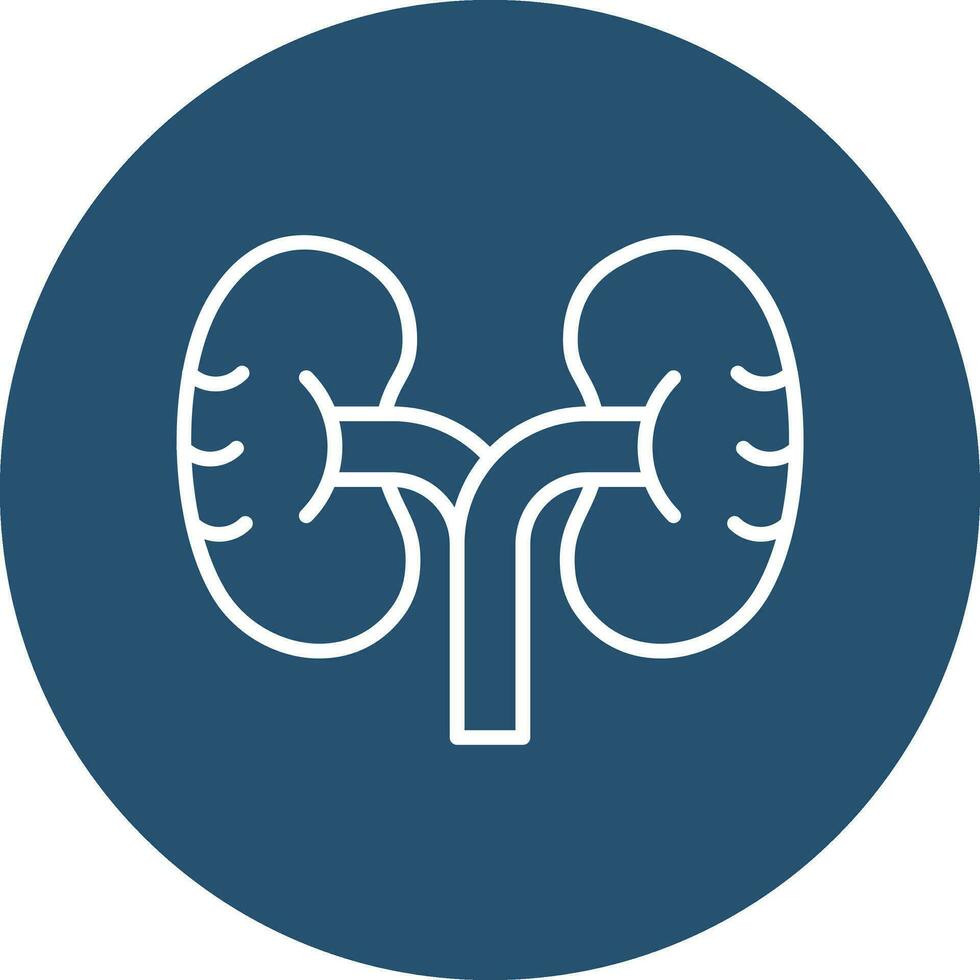 Kidney Vector Icon