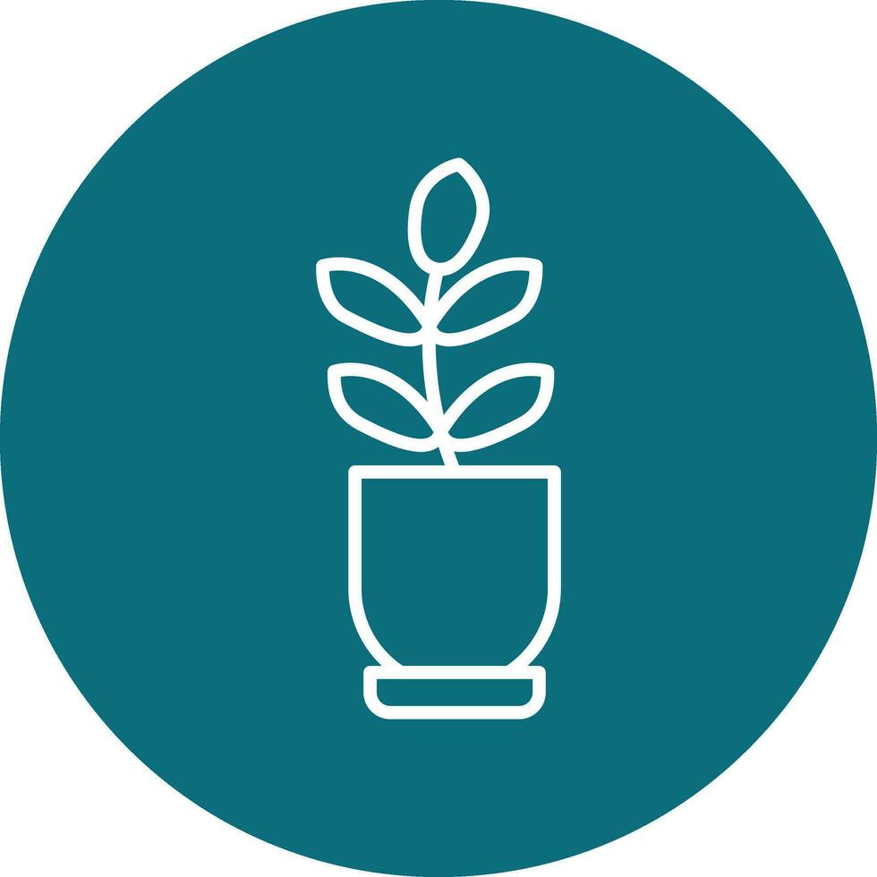 Ficus Elastica Vector Icon