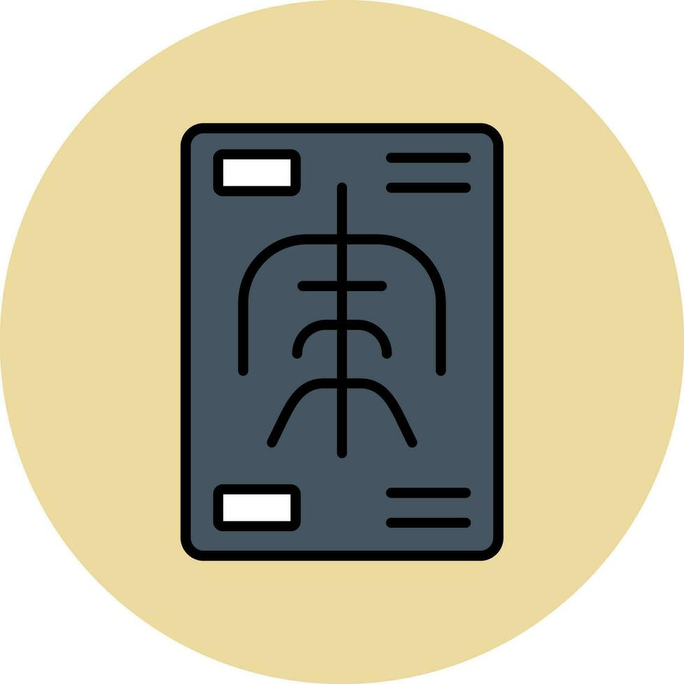 X Rays Vector Icon