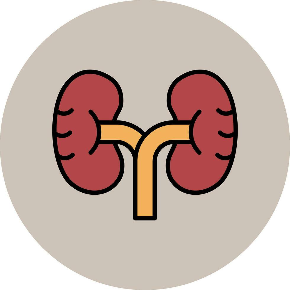 Kidney Vector Icon