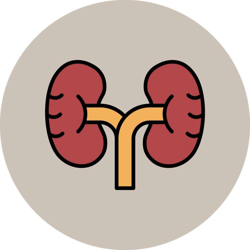 Kidney Vector Icon