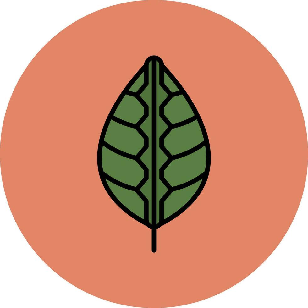 Maranta Vector Icon