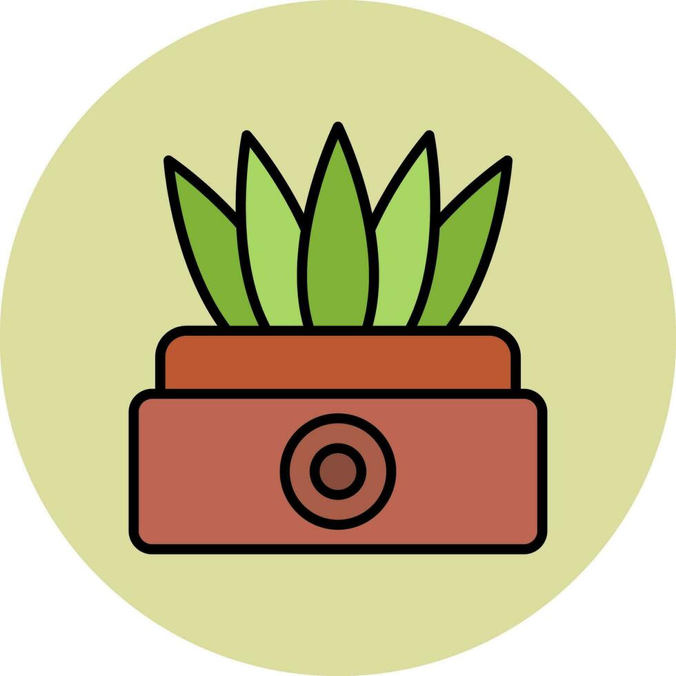 sansevieria vector icono