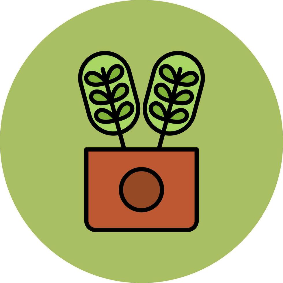 Calathea Vector Icon