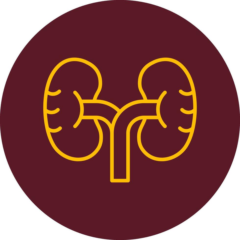 Kidney Vector Icon