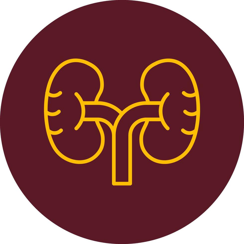 Kidney Vector Icon