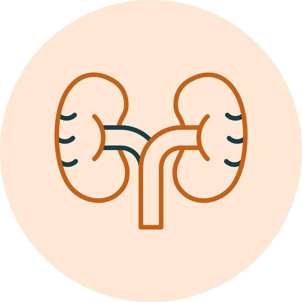 Kidney Vector Icon