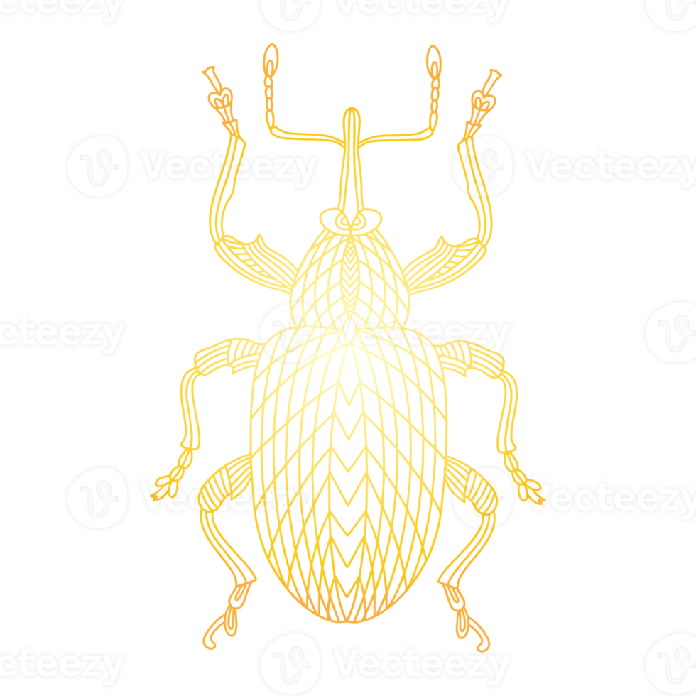 Golden beetle. Golden bug png
