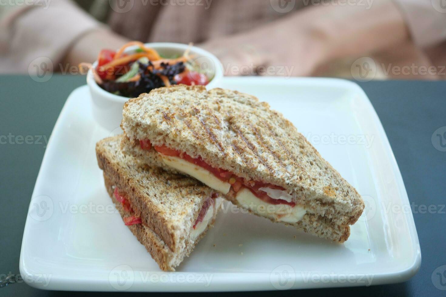 Sandwich with ham, cheese, tomatoes on a plate photo
