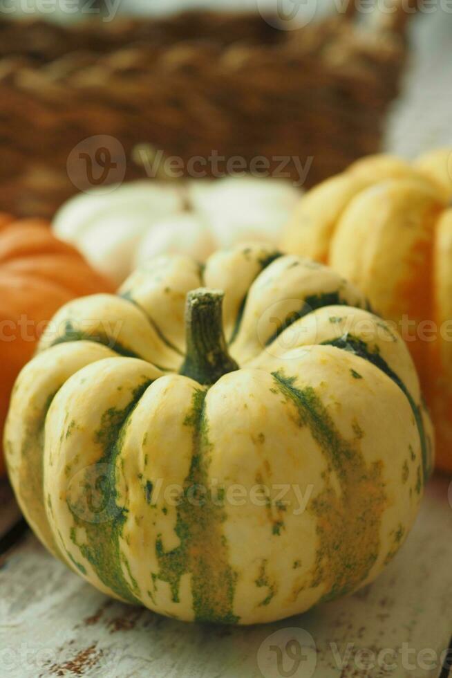 Different types of mini pumpkins color background photo