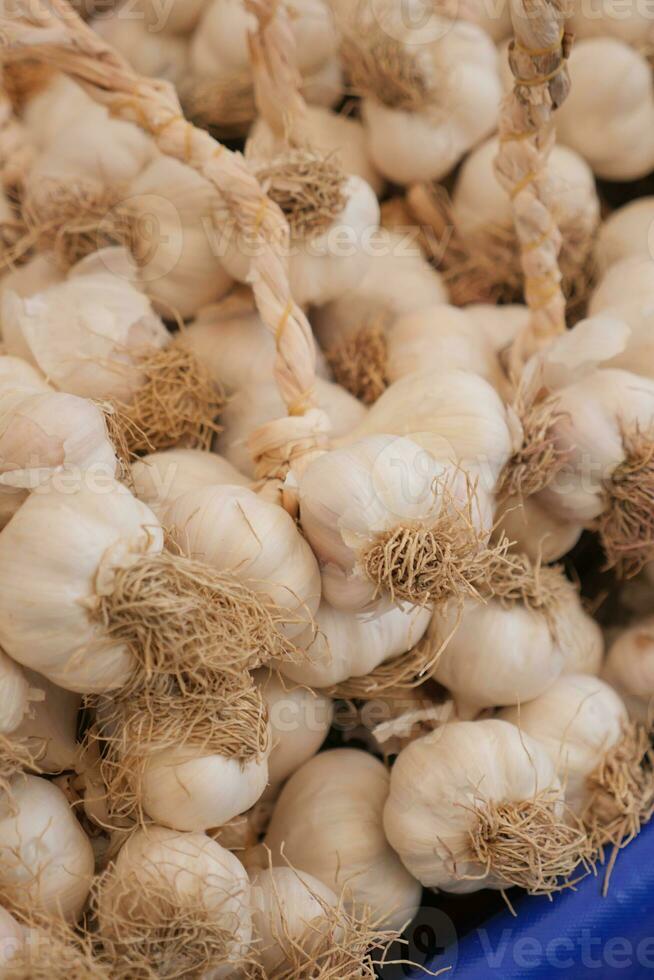 orgánico ajo en el mercado foto