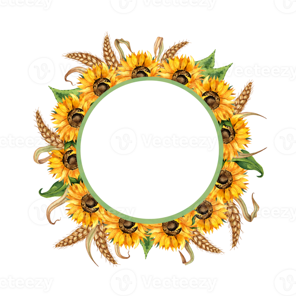 Watercolor illustration of a round frame wreath of sunflowers and ears of wheat. Harvest festival isolated. Handmade flowers for wedding anniversary, birthday, invitations and card png
