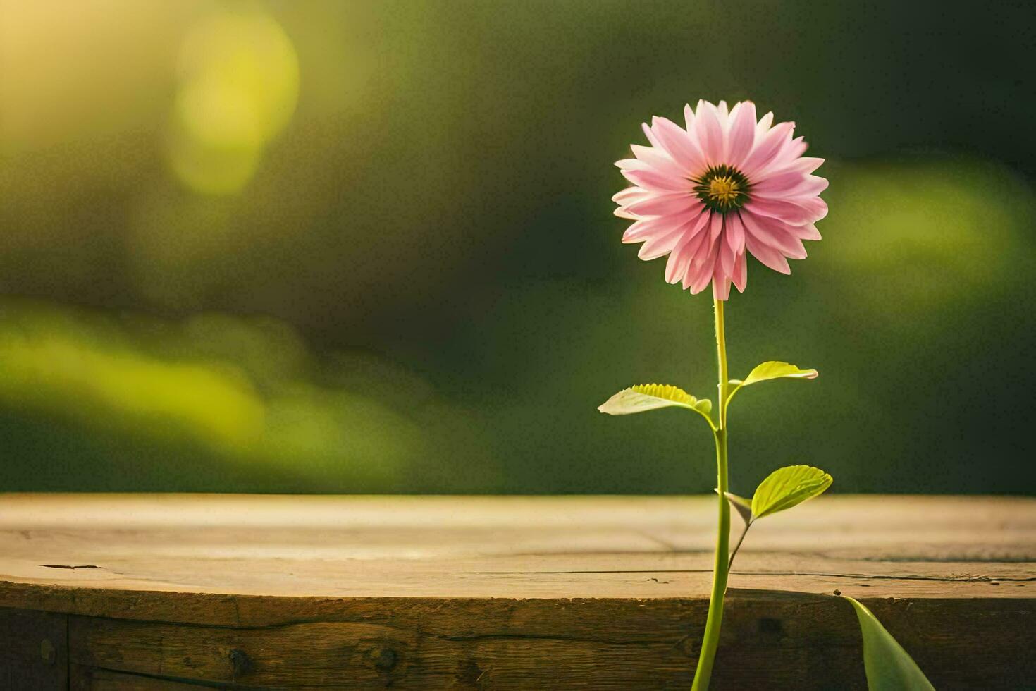 un soltero rosado flor es sentado en parte superior de un de madera mesa. generado por ai foto