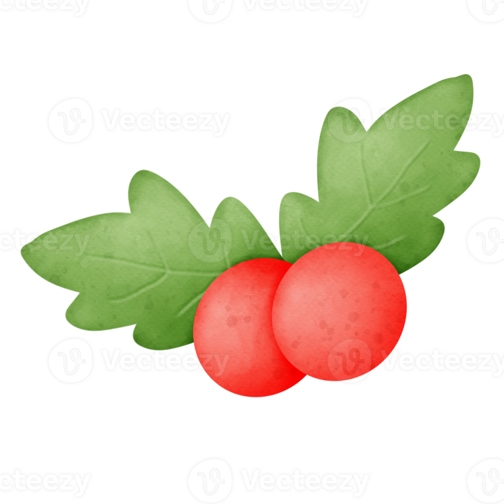 Christmas cherry watercolor png