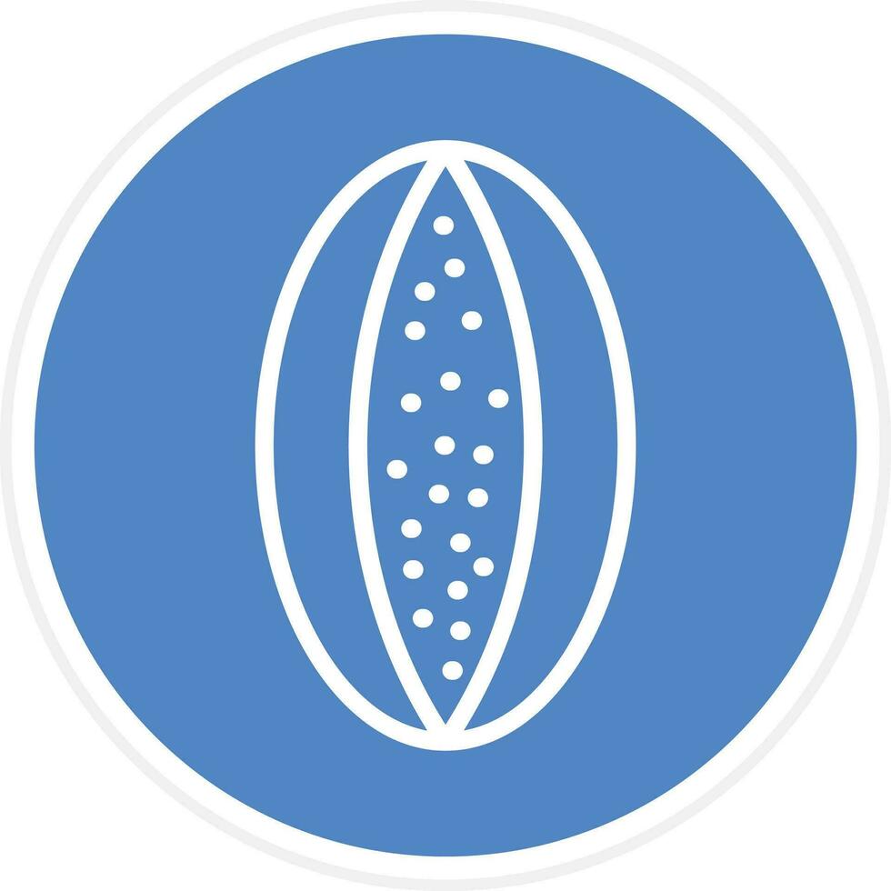 Rockmelon Vector Icon